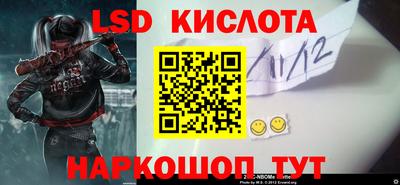 прущие грибы Гусиноозёрск