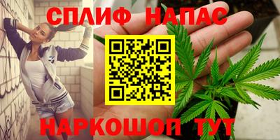 прущие грибы Гусиноозёрск