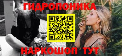прущие грибы Гусиноозёрск