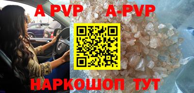 прущие грибы Гусиноозёрск