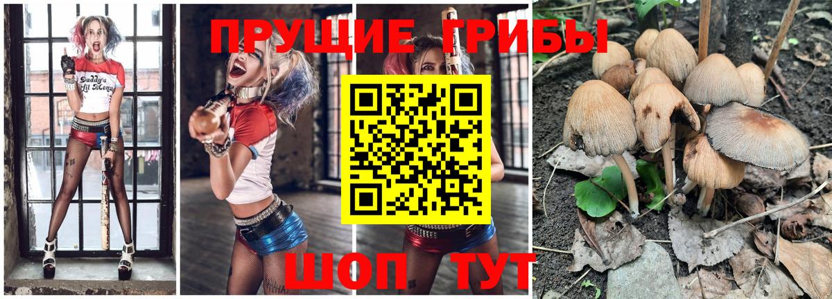Псилоцибиновые грибы мицелий  Вход с VPN  Десногорск  Галлюциногенные грибы Magic Shrooms 