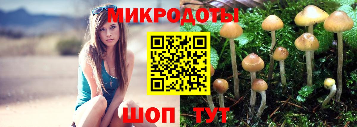 Галлюциногенные грибы Psilocybine cubensis Десногорск